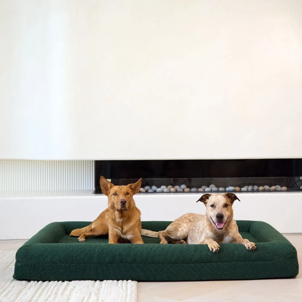 Extra Large Bed with Extra Cover Bundle - Image 6