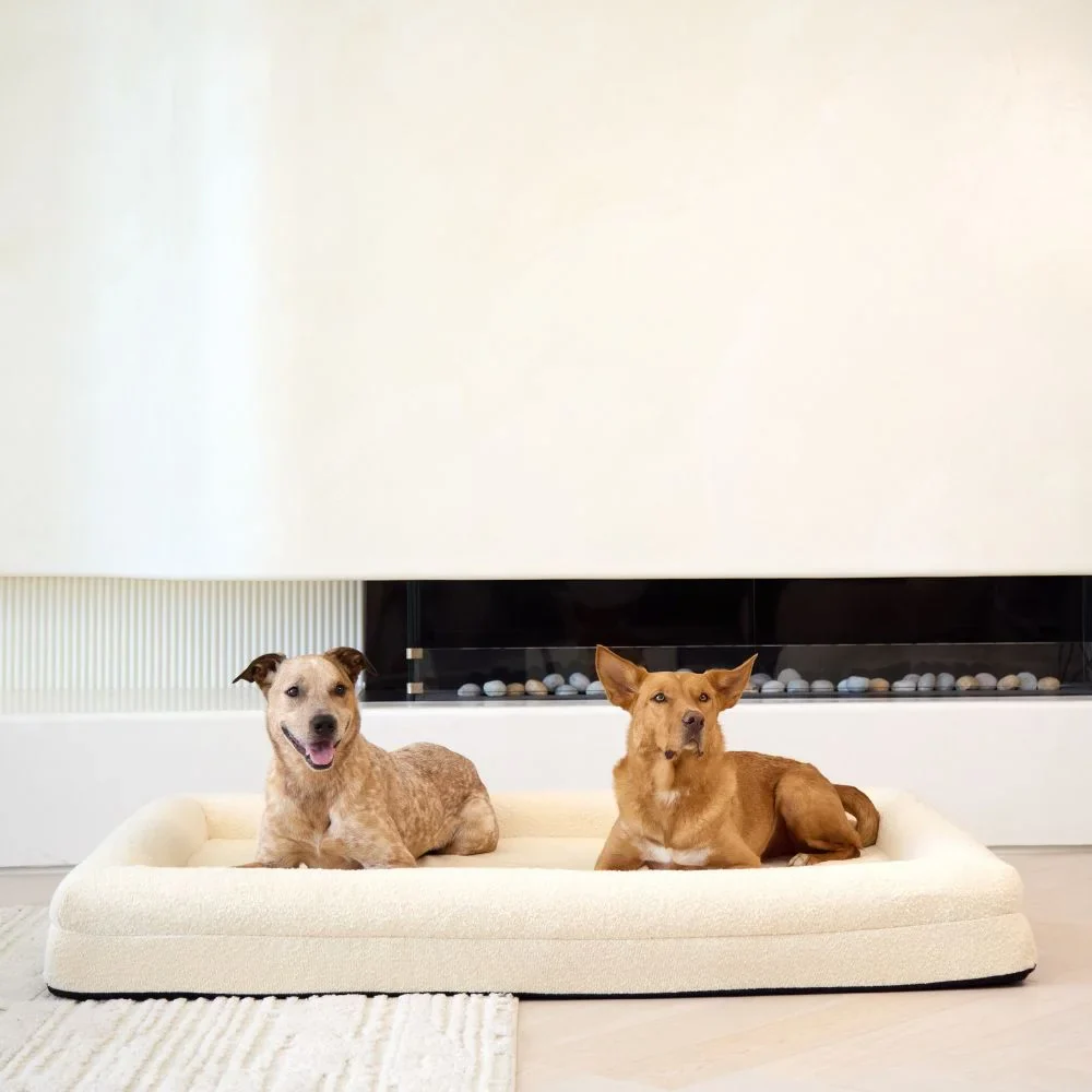 Extra Large Bed with Extra Cover Bundle - Image 7