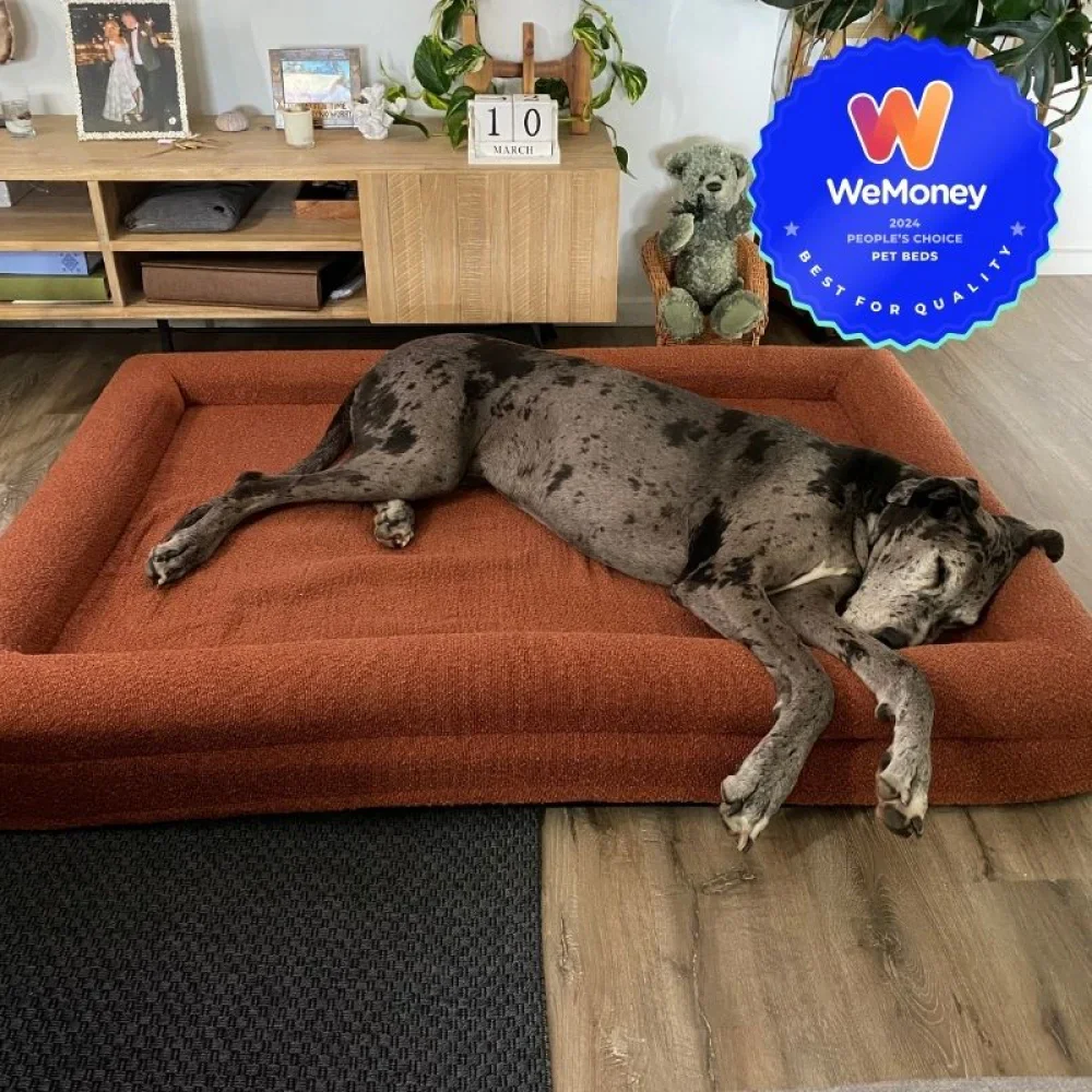 Extra Large Bed with Extra Cover Bundle - Image 8