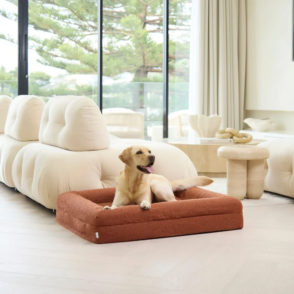 Medium Bed with Extra Cover Bundle - Image 9