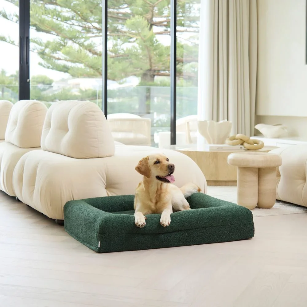 Large Bed with Extra Cover Bundle - Image 8