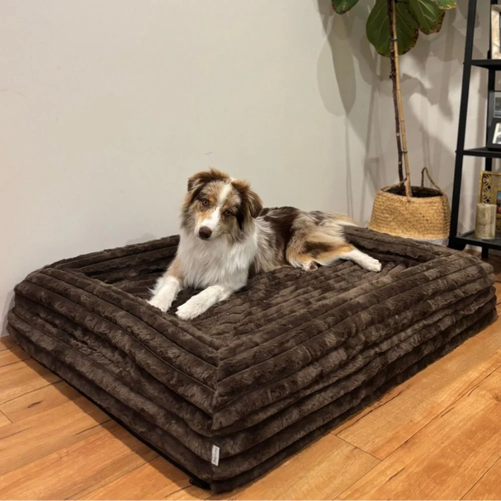 Large Bed with Extra Cover Bundle - Image 9