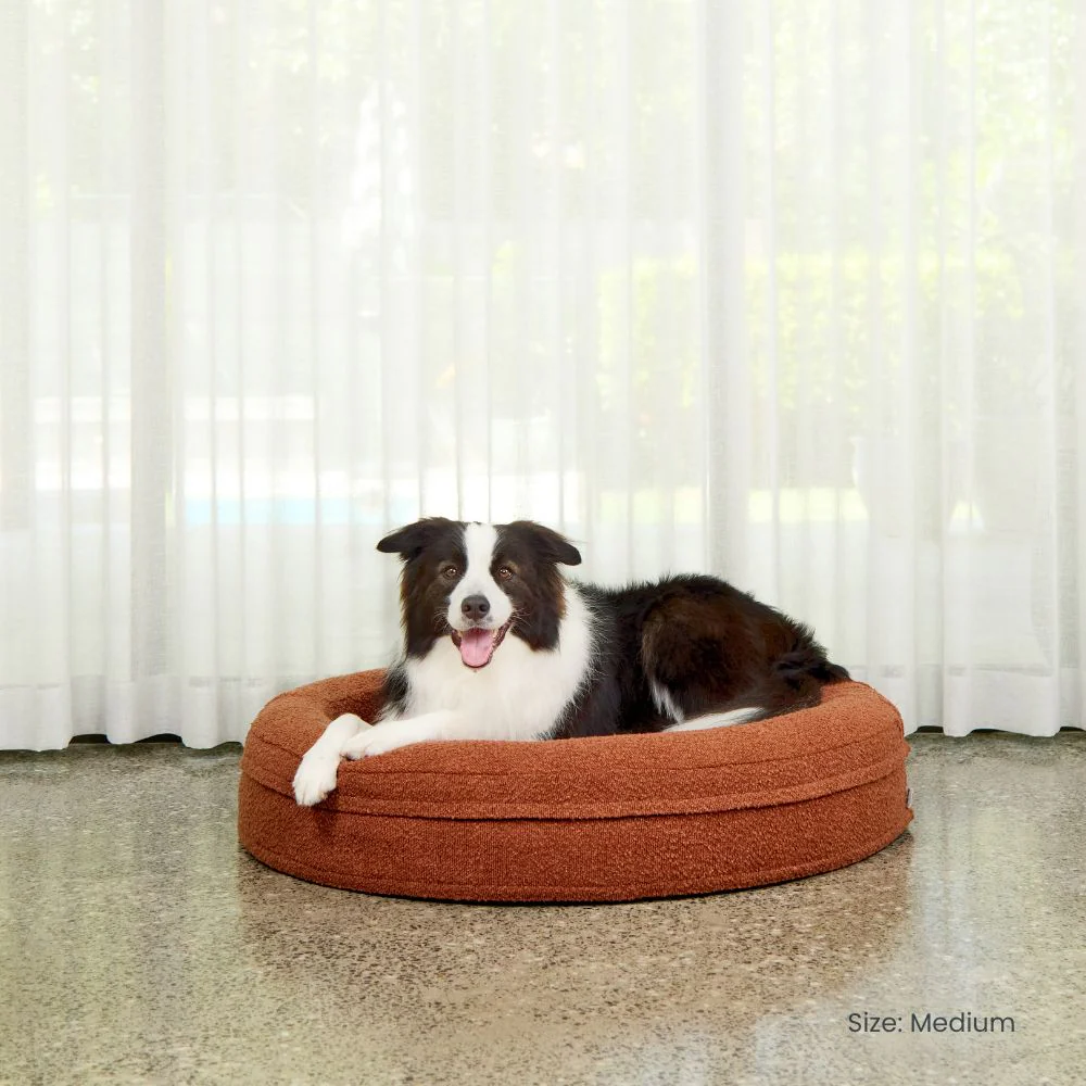 Medium Round Bed with Extra Cover Bundle - Image 8