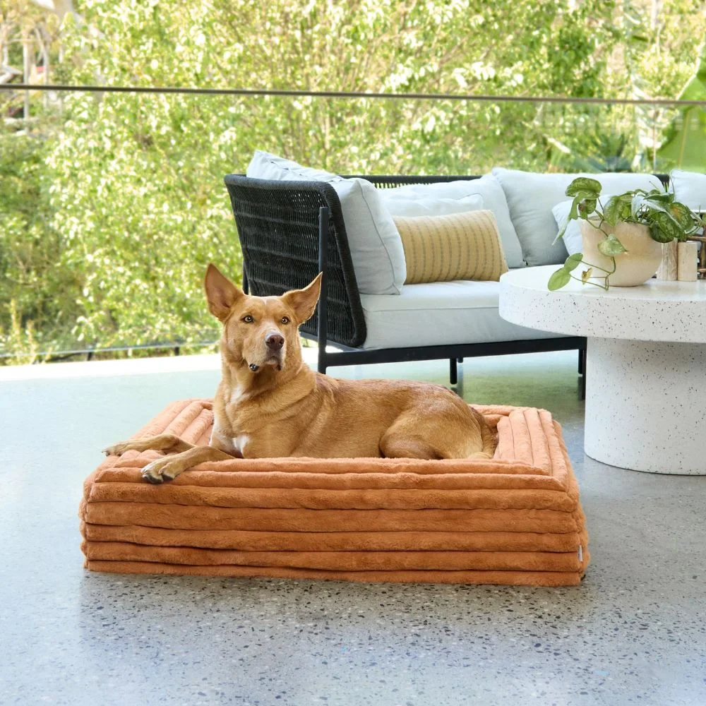 Memory Foam Dog Bed - Puffer Nutmeg - Image 2