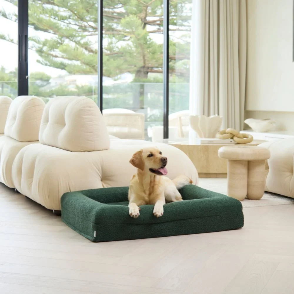 Medium Bed with Extra Cover Bundle - Image 7