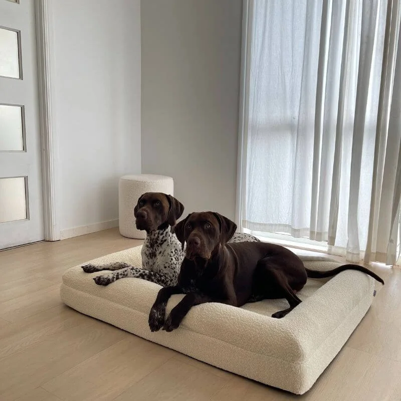 Memory Foam Dog Bed - Bouclé Ivory - Image 7