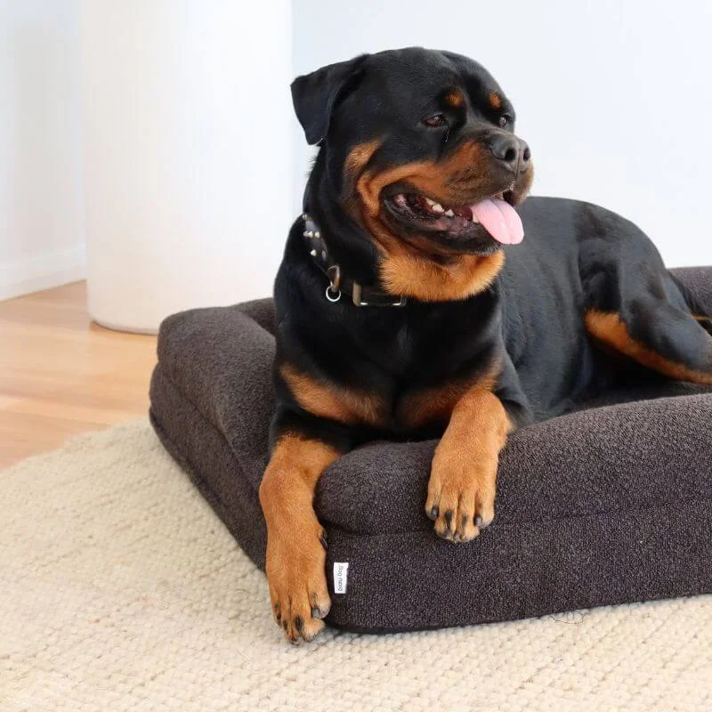 Memory Foam Dog Bed - Bouclé Nero - Image 7