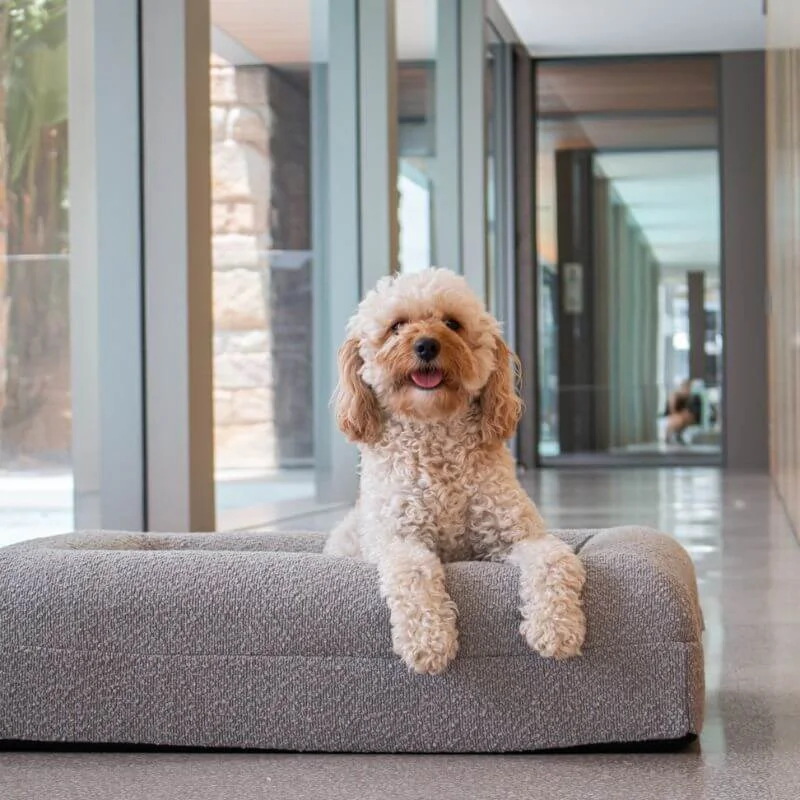 Memory Foam Dog Bed - Bouclé Pebble - Image 8