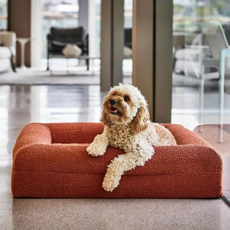 Memory Foam Dog Bed - Bouclé Terracotta - Image 8