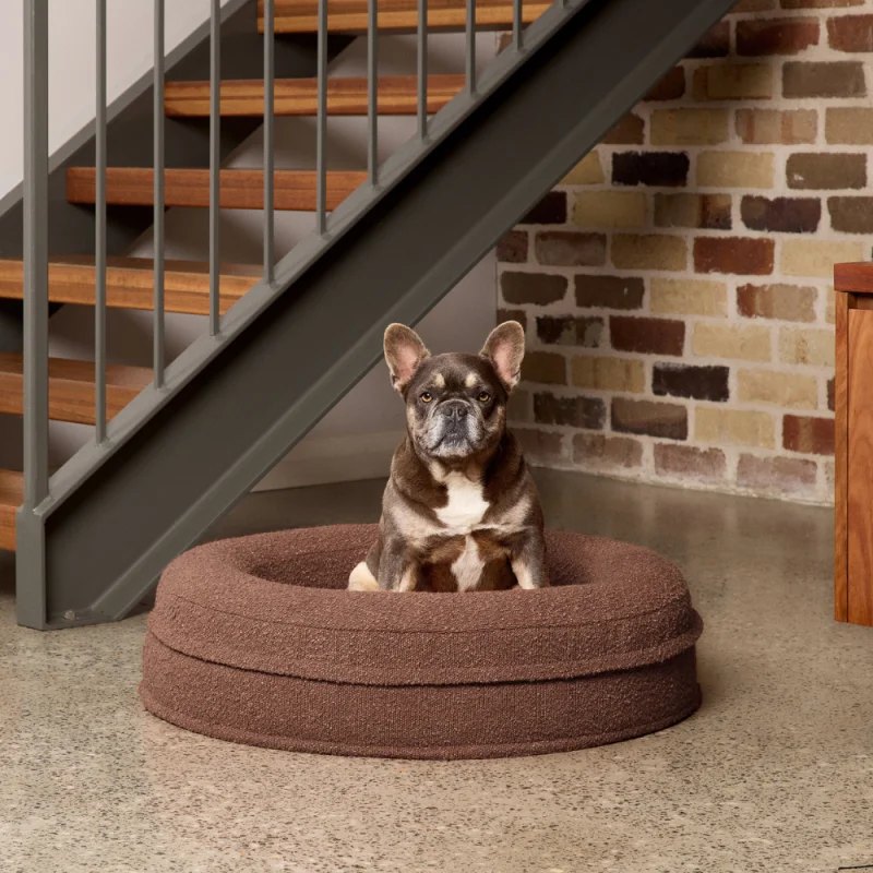 Round Memory Foam Dog Bed - Bouclé Cocoa - Image 10