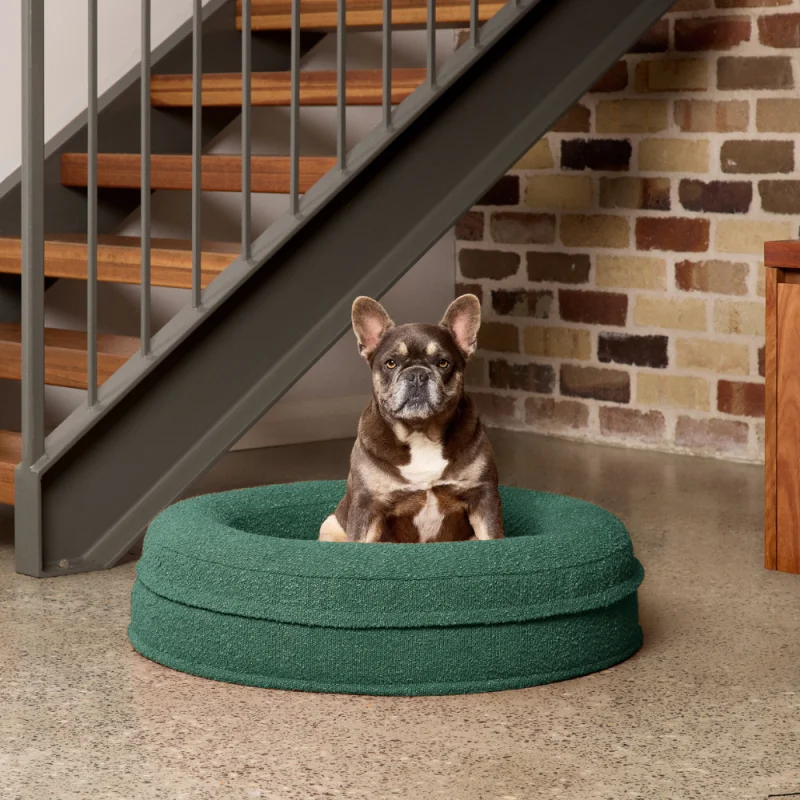 Round Memory Foam Dog Bed - Bouclé Forest Green - Image 2