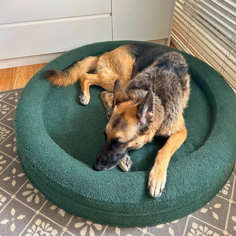 Round Memory Foam Dog Bed - Bouclé Forest Green - Image 7