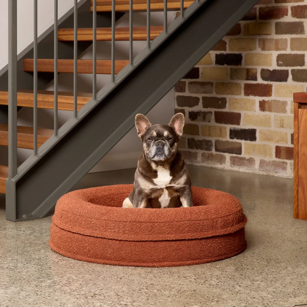 Small Round Bed with Extra Cover Bundle - Image 6